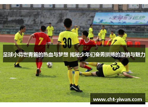 足球小将世青篇的热血与梦想 揭秘少年们奋勇拼搏的激情与魅力