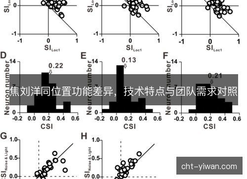 焦刘洋同位置功能差异，技术特点与团队需求对照